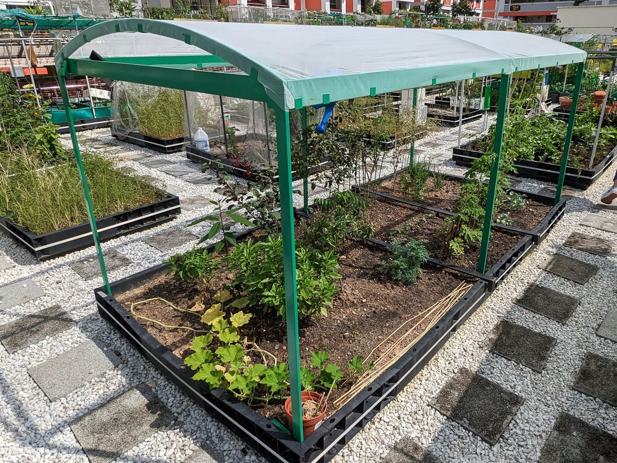 Featuring an ankle-height plastic garden raised bed with a green metal frame covering the entire plot. 
